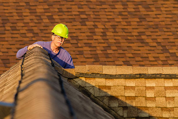 Best Roof Gutter Cleaning  in Wickes, AR